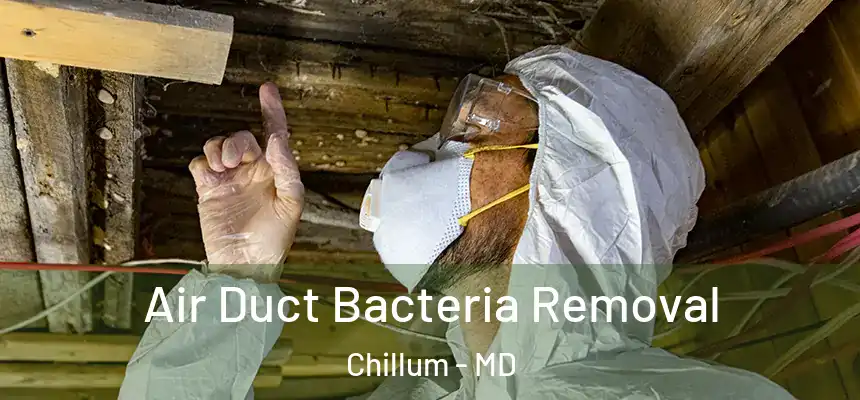  Air Duct Bacteria Removal Chillum - MD