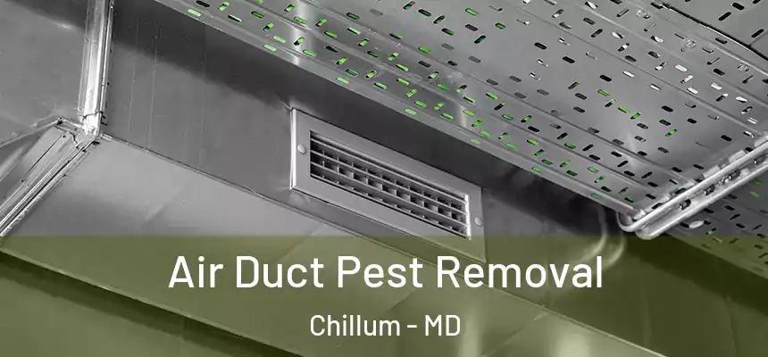 Air Duct Pest Removal Chillum - MD