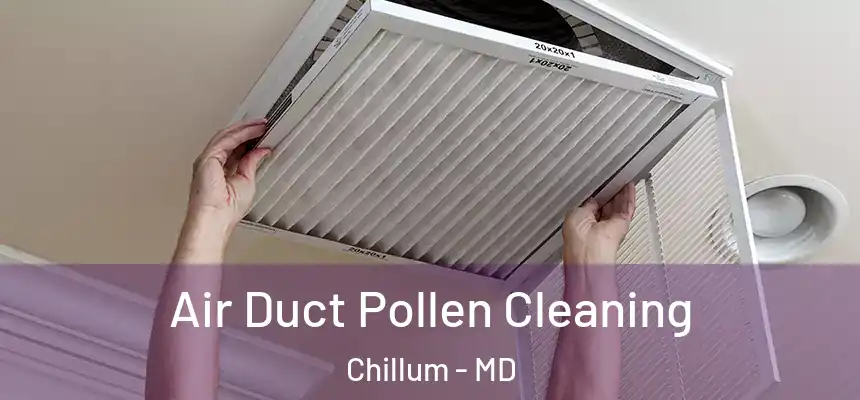 Air Duct Pollen Cleaning Chillum - MD
