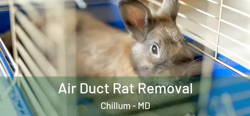 Air Duct Rat Removal Chillum - MD