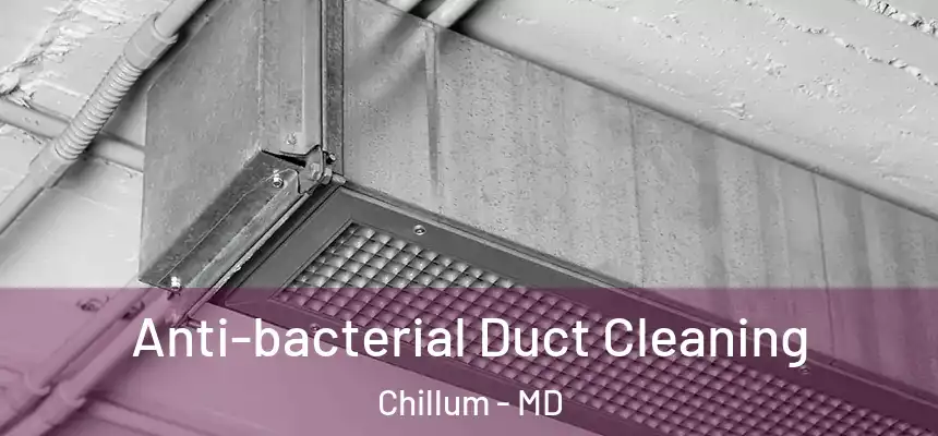 Anti-bacterial Duct Cleaning Chillum - MD