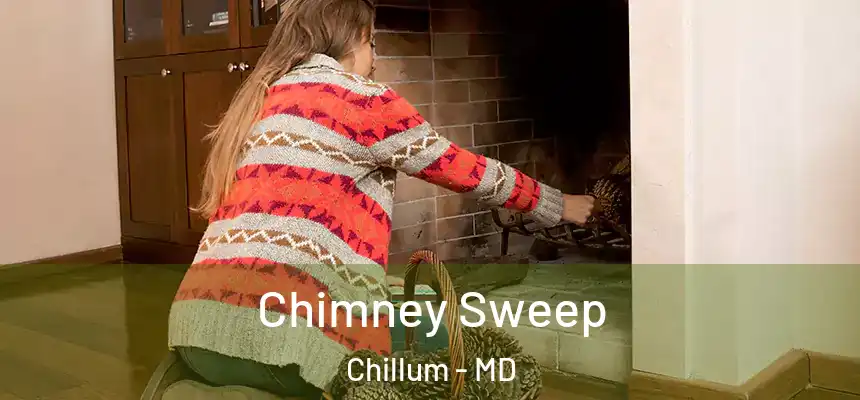  Chimney Sweep Chillum - MD