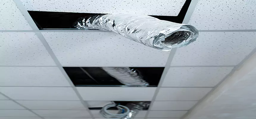 Affordable HVAC Sanitizing After Pest Removal in Chillum