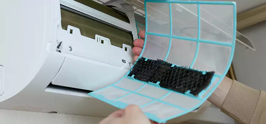 Gentle Ductwork Odor-Control Pet Dander Duct Cleaning in Chillum, MD