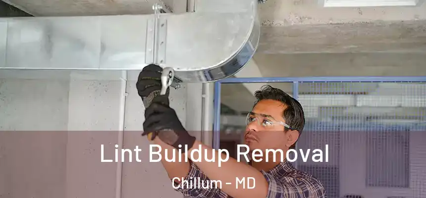  Lint Buildup Removal Chillum - MD