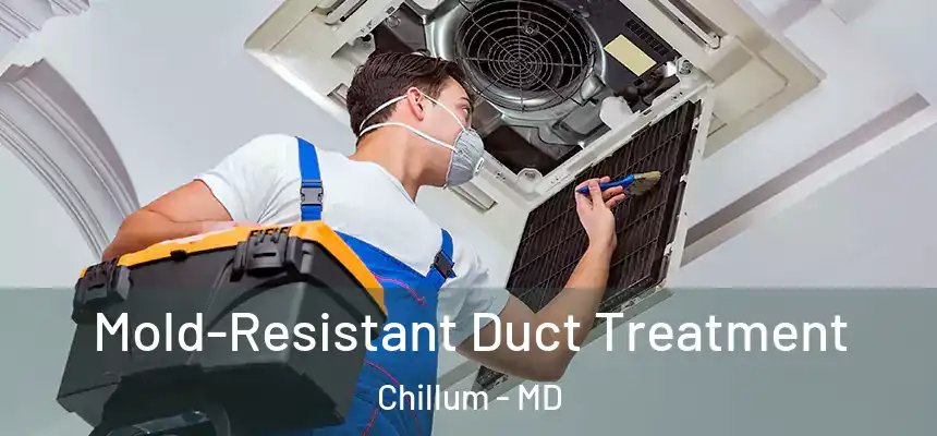 Mold-Resistant Duct Treatment Chillum - MD