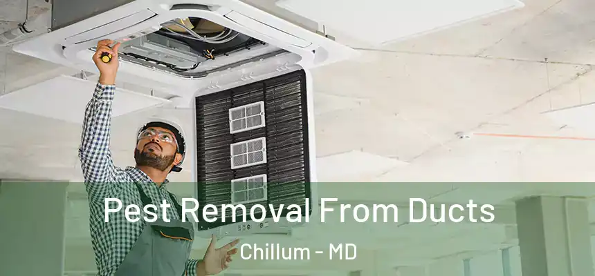 Pest Removal From Ducts Chillum - MD