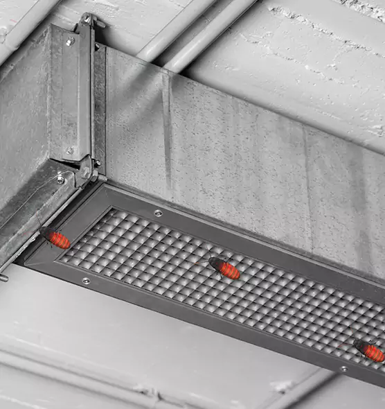 About Air Duct Cockroach Removal in Chillum, MD