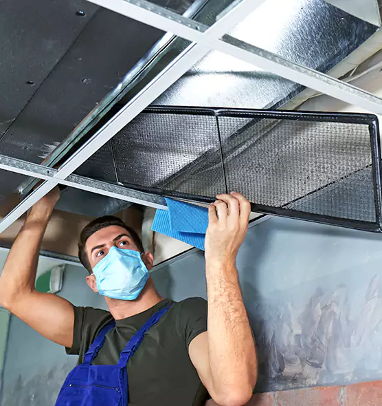 Professional Air Duct Pollen Cleaning in Chillum, MD