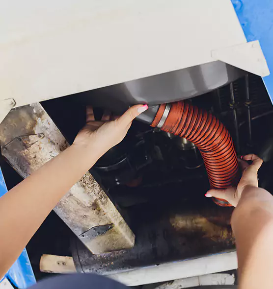 About Air Duct Virus Disinfection in Chillum, MD