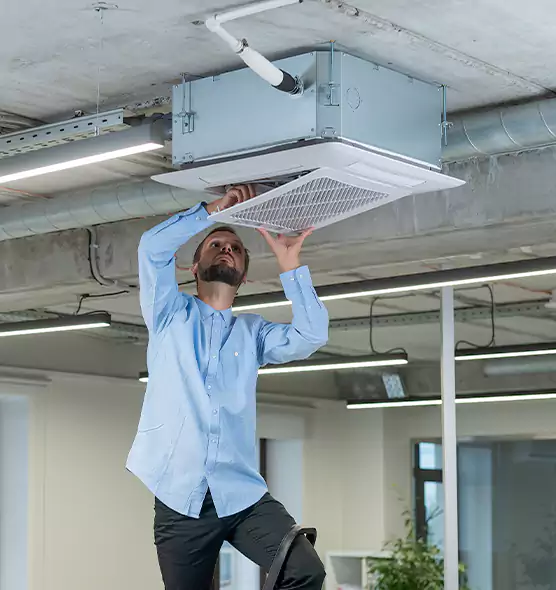 Advanced Rodent Droppings In Vents in Chillum, MD