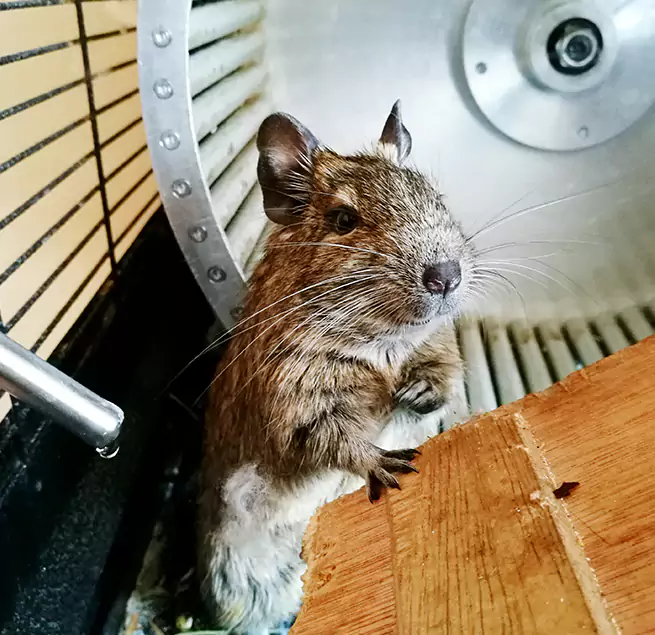 Why Homeowners & Businesses Trust Us Chillum, MD