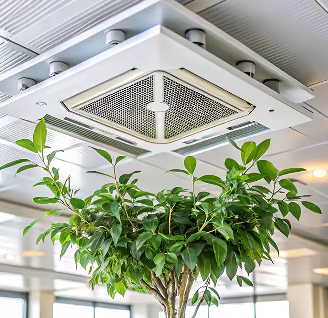 Why Homeowners & Businesses Trust Us in Chillum, MD?